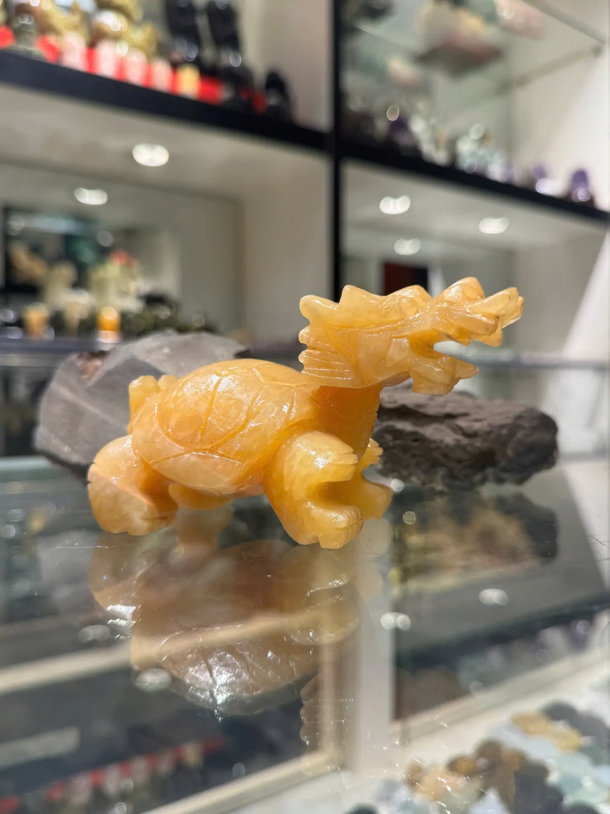 Rùa đầu rồng đá hoàng long nhỏ M036