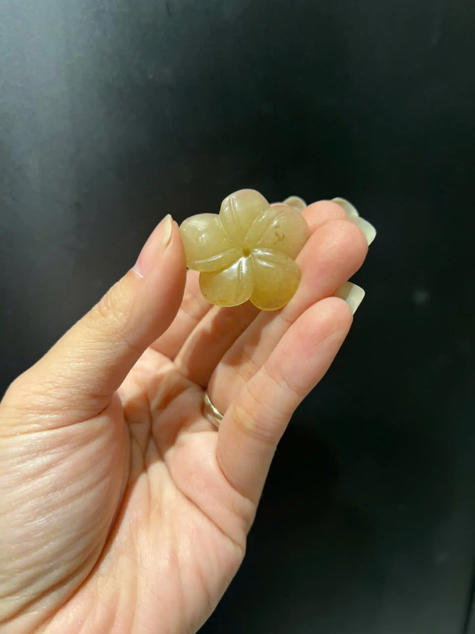 Mẫu đơn ngọc Hoàng Long 5 cánh có tỉa lá loại lớn S674