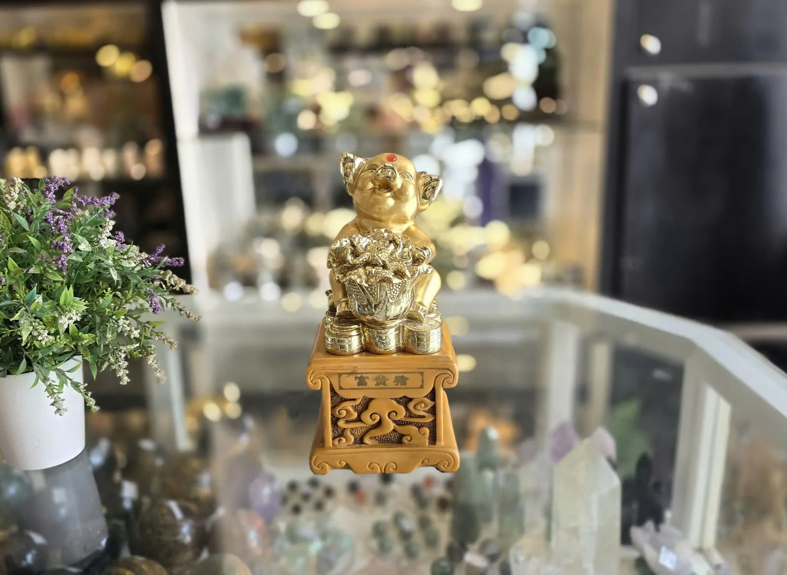 Heo phú quý trư vàng Y315