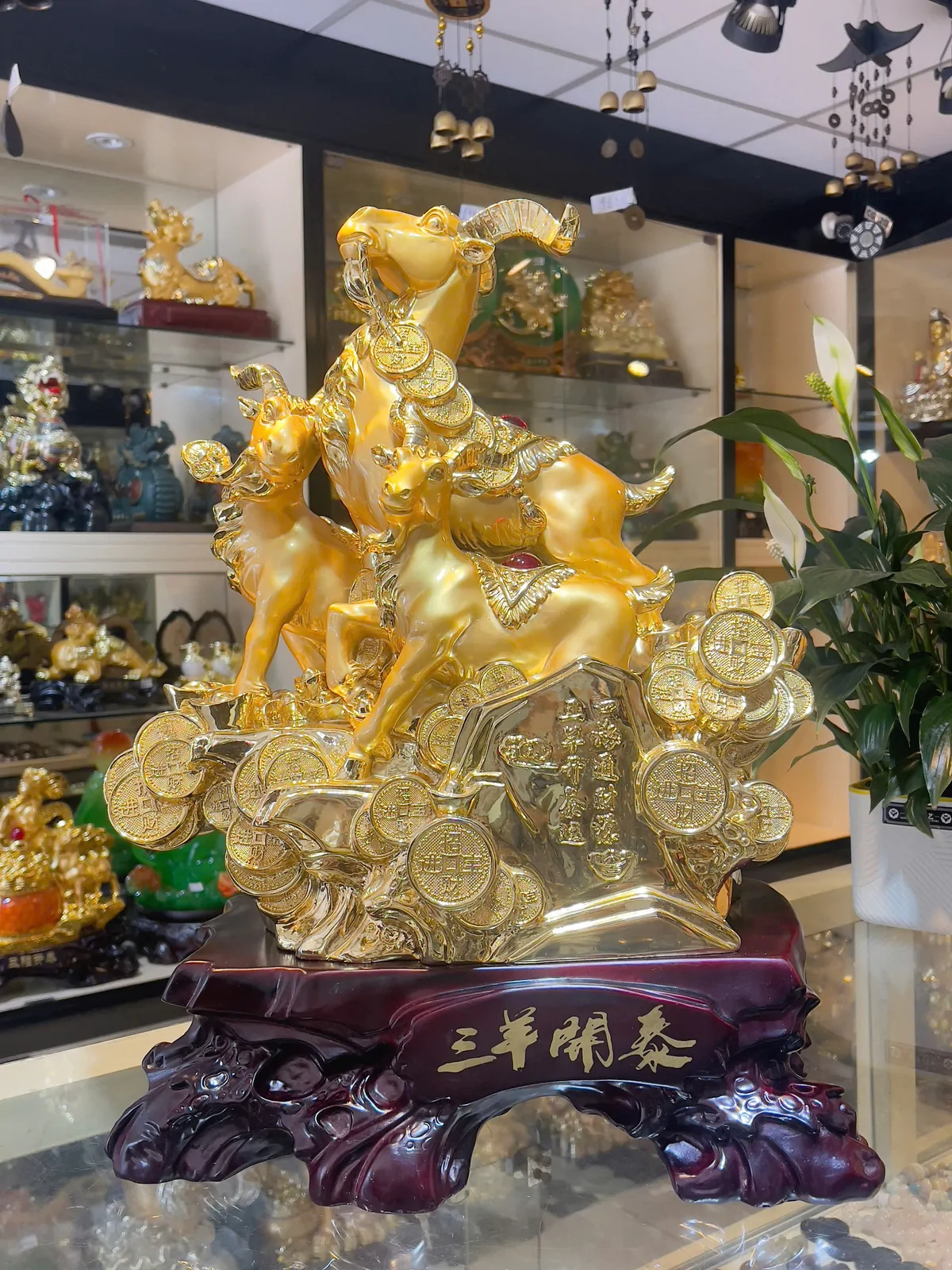 Dê 3 con vàng, núi vàng - tam dương khai thái H095G