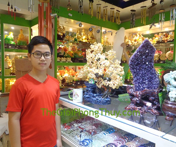 Anh Phúc - Khách hàng mua cây tài lộc thạch anh vàng phong thủy luân FKC035