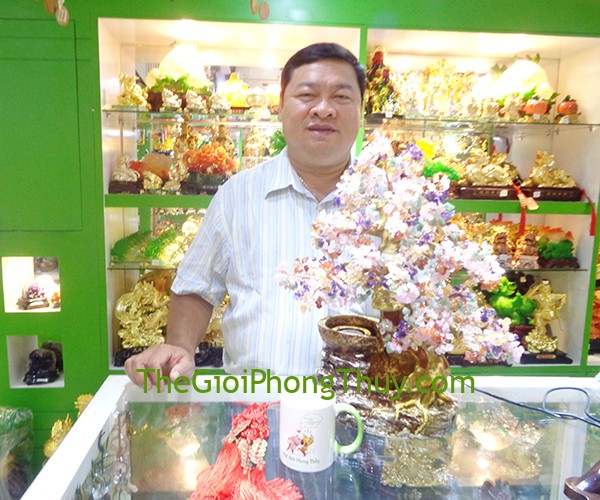 Anh An - Khách Hàng mua Cây tài lộc nhiều màu phong thủy luân FKC063, Chuông gió phong thủy FCG1226 và Xâu tiền ngũ đế FCC1136