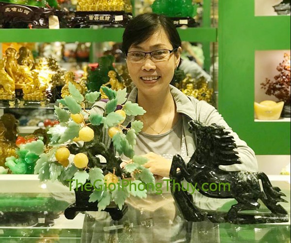 Chị Phượng - Khách mua Cây quất phong thủy FKC010, Ngựa Độc Ngọc Hồ Nam FM179