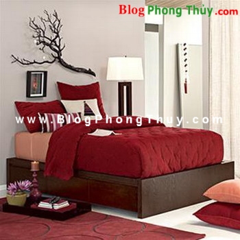 Mang may mắn vào nhà bằng phong thủy