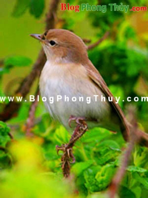 Vài cách làm cho cuộc sống tốt đẹp hơn