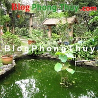 Đừng xem thường ao hồ trong Phong thủy