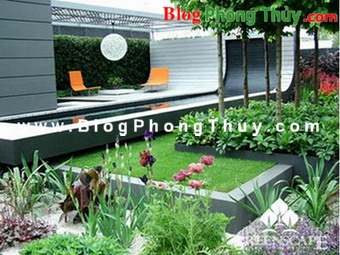 Cây và nước trong Phong Thủy