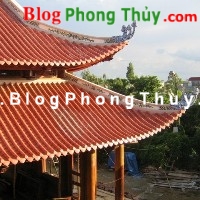 Hàng xóm của mình là ai?