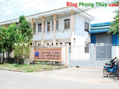 Các yếu tố ngoại vi