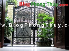 Giảm xung hại nhờ cây và mặt nước