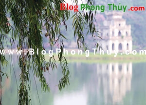 Có nên trồng liễu trước cửa nhà?