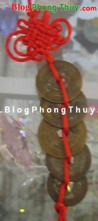 tien-co.jpg