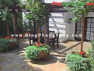 Chọn giống cây trồng