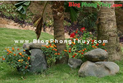 Khí - Nguồn năng lượng vũ trụ