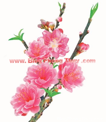 Ý NGHĨA NGÀY TẾT NGUYÊN ĐÁN