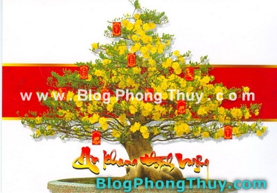 blogphongthuycom-chuc-mung-nam-moi-an-khang-thinh-vuong.jpg