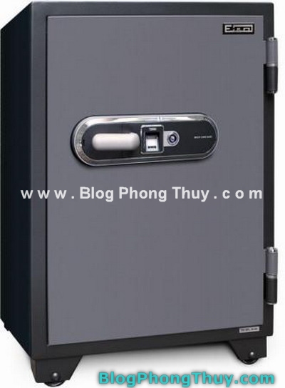Vị trí đặt két sắt theo phong thủy (kết hợp với Tỳ Hưu và Tiền hoa mai)