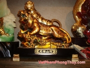 20100111104012_vat_pham_so_039.jpg