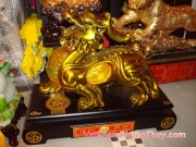 Cách nuôi Mèo theo dựa theo Khoa Học Phong Thủy