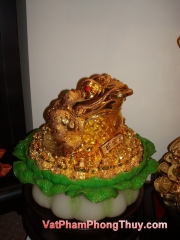 20100111110834_vat_pham_so_077.jpg