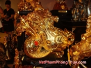 20100111111356_vat_pham_so_091.jpg