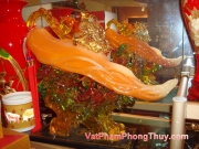 20100111113052_vat_pham_so_184.jpg