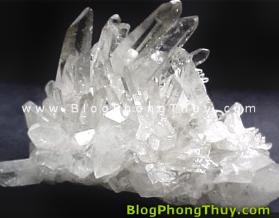 da-phong-thuy-01.jpg