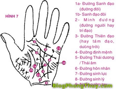 Xem tướng tay (8)