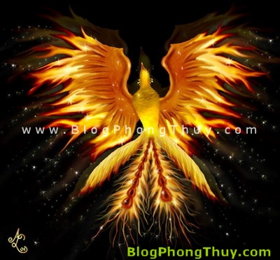 Phượng Hoàng ( Chim Phụng ) - loài chim của ngũ hành