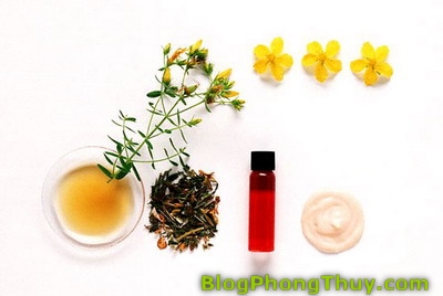 Các sử dụng tinh dầu và mùi hương để kích thích năng lượng phong thủy