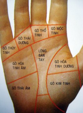 Xem tướng tay: Các gò trên bàn tay