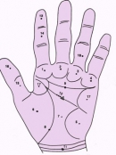 Xem nốt ruồi trên bàn tay