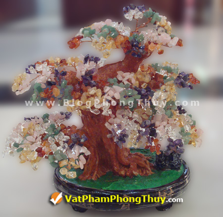 Cây Tài Lộc - Cây Đá Quý - Cây Đá Phong Thủy