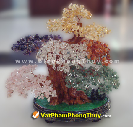 Cây Tài Lộc - Cây Đá Quý - Cây Đá Phong Thủy