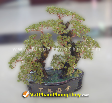 Cây Tài Lộc - Cây Đá Quý - Cây Đá Phong Thủy