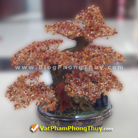 Cây Tài Lộc - Cây Đá Quý - Cây Đá Phong Thủy