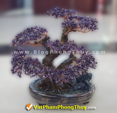 Cây Tài Lộc - Cây Đá Quý - Cây Đá Phong Thủy