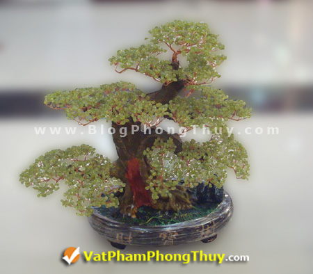 Cây Tài Lộc - Cây Đá Quý - Cây Đá Phong Thủy