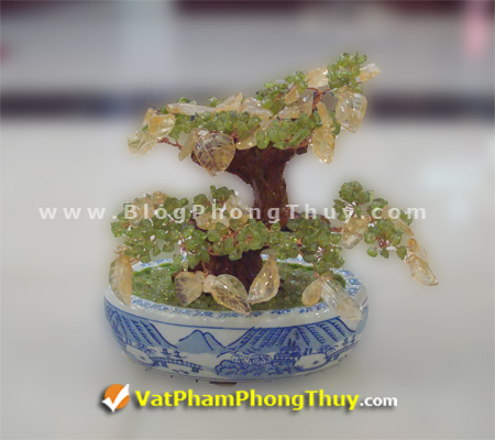 Cây Tài Lộc - Cây Đá Quý - Cây Đá Phong Thủy