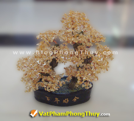 Cây Tài Lộc - Cây Đá Quý - Cây Đá Phong Thủy