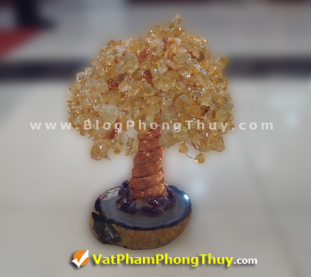 Cây Tài Lộc - Cây Đá Quý - Cây Đá Phong Thủy