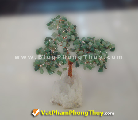 Cây Tài Lộc - Cây Đá Quý - Cây Đá Phong Thủy