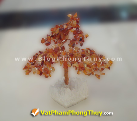 Cây Tài Lộc - Cây Đá Quý - Cây Đá Phong Thủy