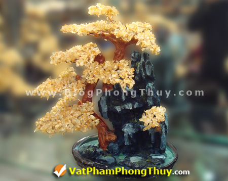 Cây Tài Lộc - Cây Đá Quý - Cây Đá Phong Thủy