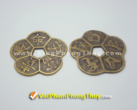 Tiền xu hoa mai 5 cánh liền