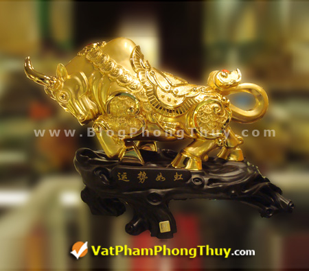 Trâu vàng lớn nhất A139