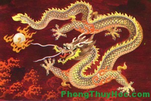 rong2012 300x202 Cách đặt tên cho con sinh năm Nhâm Thìn 2012 theo Phong Thủy