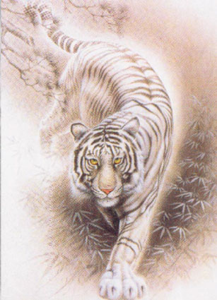 Bạch Hổ “động” có lợi hay có hại ???