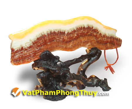 Đá Thịt Khủng Long Hóa Thạch - Biểu tượng của sự giàu sang, no đủ