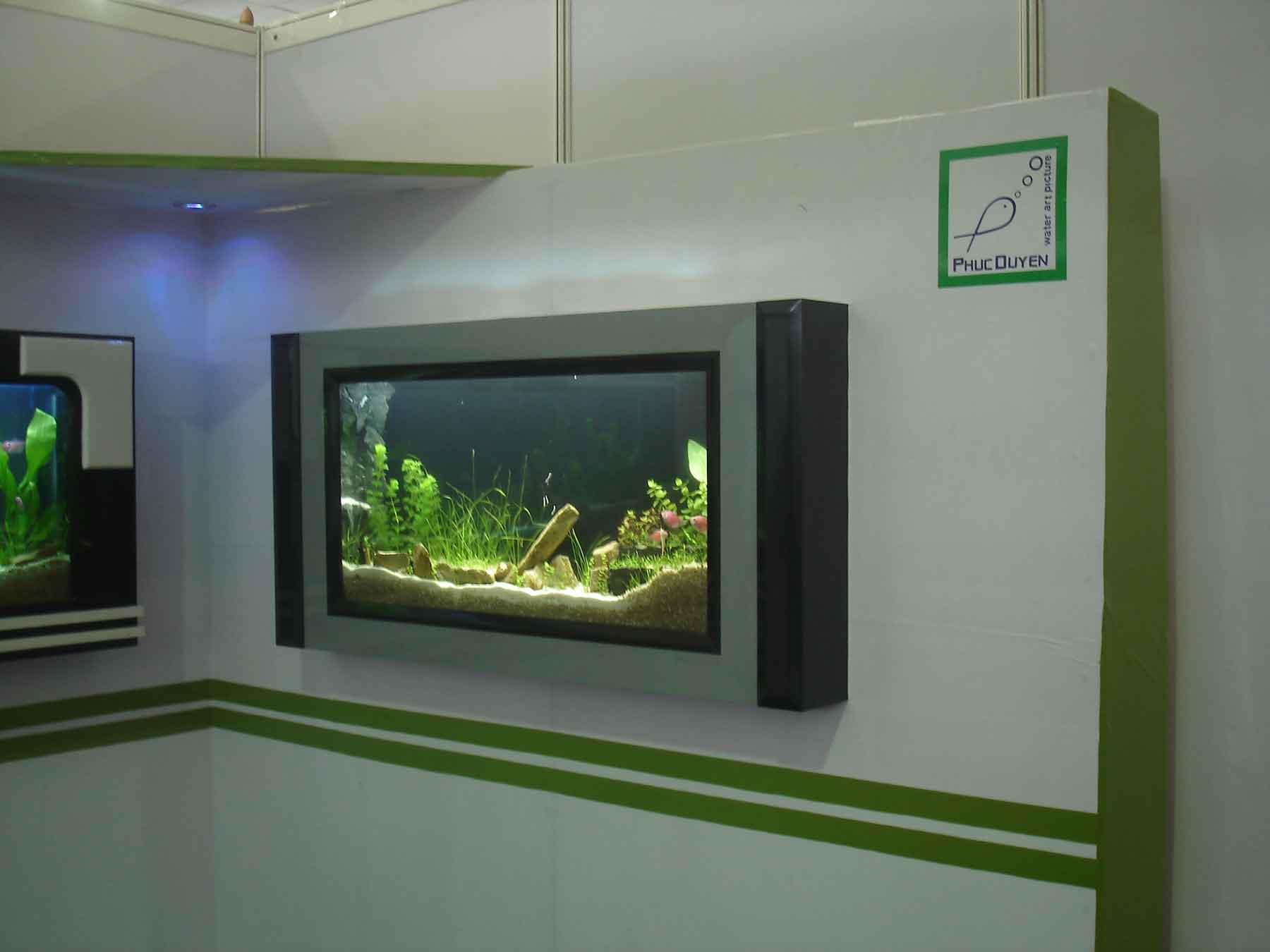 Phong thủy cho bể cá treo tường